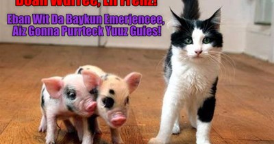 At Leest Fur Ah Lil Wiel!