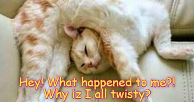 KKPS: Another Skolar seems sumhow to be affected by perhaps teh Skware Root of Tuesday! What iz going on at KKPS?