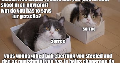 FBI agints Smartikles and Furtives is kalled into Mrs. Donawtdoodat's office