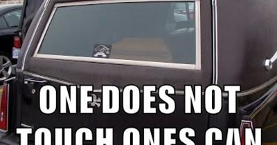 ONE DOES NOT TOUCH ONES CAN OF GUSHY FOOD