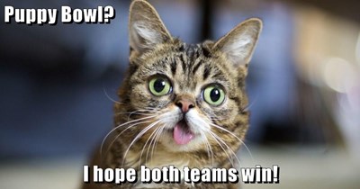 Puppy Bowl