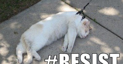 #RESIST