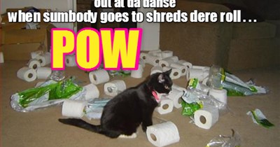 skolar Mewsy pawpares for da Balentine's Danse