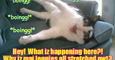 KKPS: Anudder uneggspected ockurrense takes place in teh KKPS Lownge as sleeping Skolar Domino suddenly awakes and habs his feets eggstended! Did teh Skware Root of Tuesday hab anything to do wiff dis strange events?!