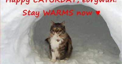 Happy CATURDAY