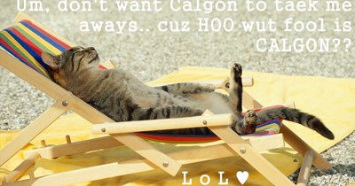 Um, don't want Calgon to taek me aways