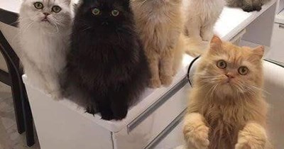 "Huh?"
