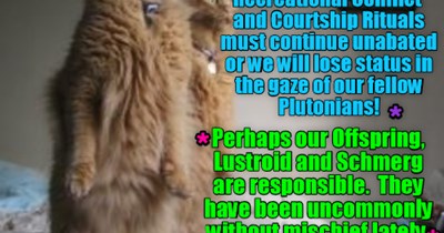 Teh Bwave Asplorer Plutonians have their suspicions!