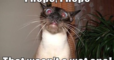 All hope
