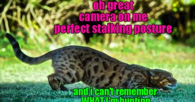 we've all been there