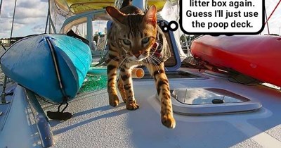 Gives a new meaning to "tail winds"