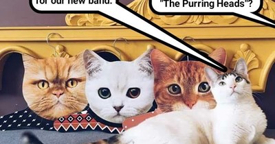 featuring "Take Me to the Liver," "Munch in a Lifetime," and "Wild Wild Mice"