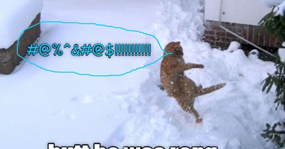 Teh day c.u.a took a tumble. - Snobrawl Fyte