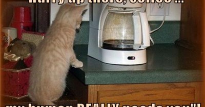 Hurry up there, coffee