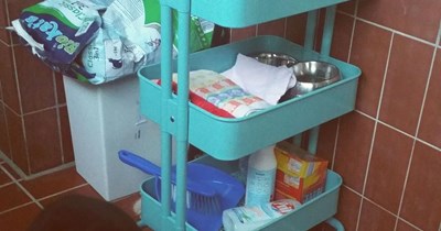 3-story litterbox