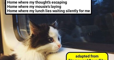 adapted from "Homeward Bound" by Simon & Garfunke