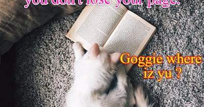 Goggie?