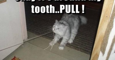 Pull!