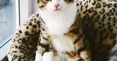 Aren't you ready to play YET?