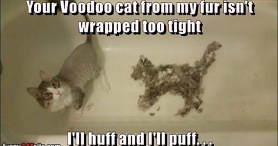 Voodoo cat