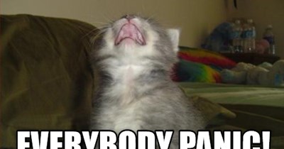 a bacon shortage?!