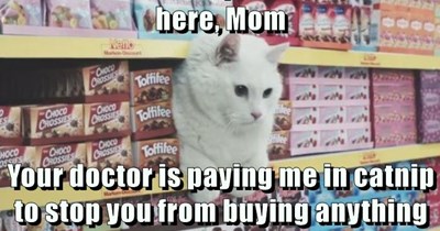 Your doctor is paying me in catnip