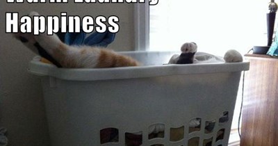 Warm Laundry Happiness