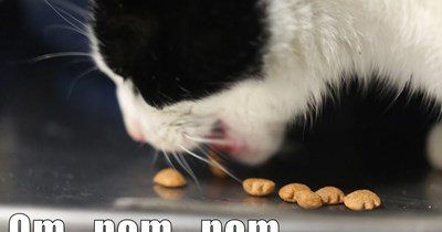Om...nom...nom...