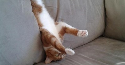 Sofa Time # 1