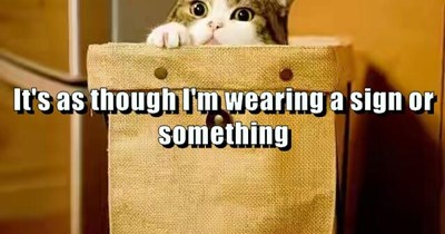 Wearing a sign