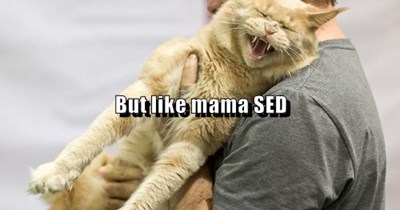 Kitteh TRIES to do the furrgy FACE