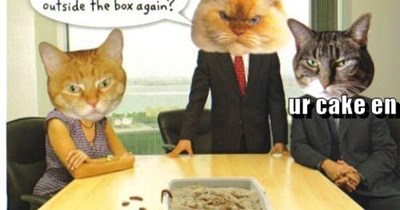 Outside the box
