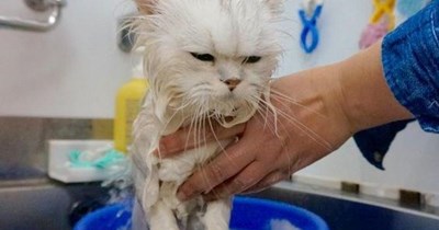 Angry? Not at all.