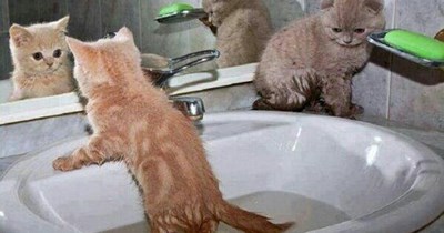 Bath day