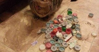 Have you been tampering with my collection?