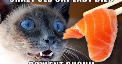 Soylent Sushi