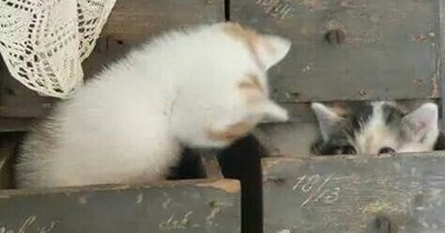 Why are you hiding?