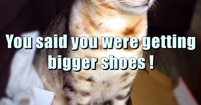 That means a bigger box