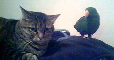 momz watchin u