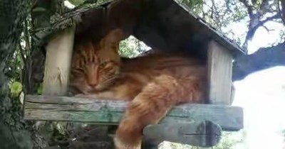 Now I has a penthouse