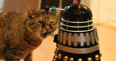 Resistance is arrggh!