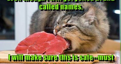 Make sure this is safe