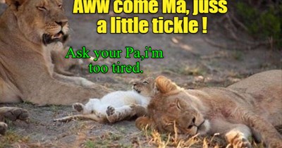 Tickle tickle tickle