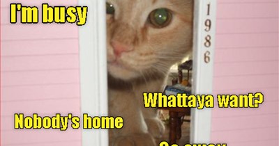 Ding Dong No One's Home