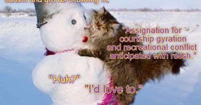 Interplanetary cordiality abounds! - Ballentwyne Glitterbol Fyte
