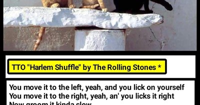 "Hurl-'em Shuffle" (TTO "Harlem Shuffle" by The Rolling Stones [originally by Bob & Earl])