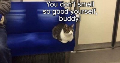 Self-awareness