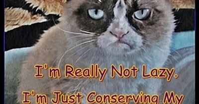 Grumpy Cat classic