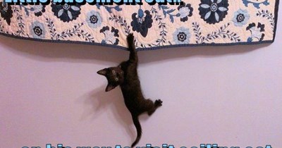On his way to visit ceiling cat