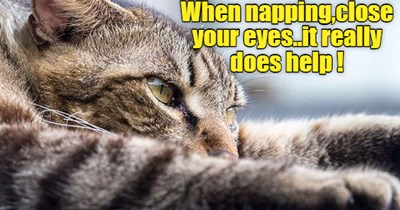 Napping tips.